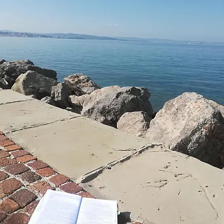 Caccia * Trieszt